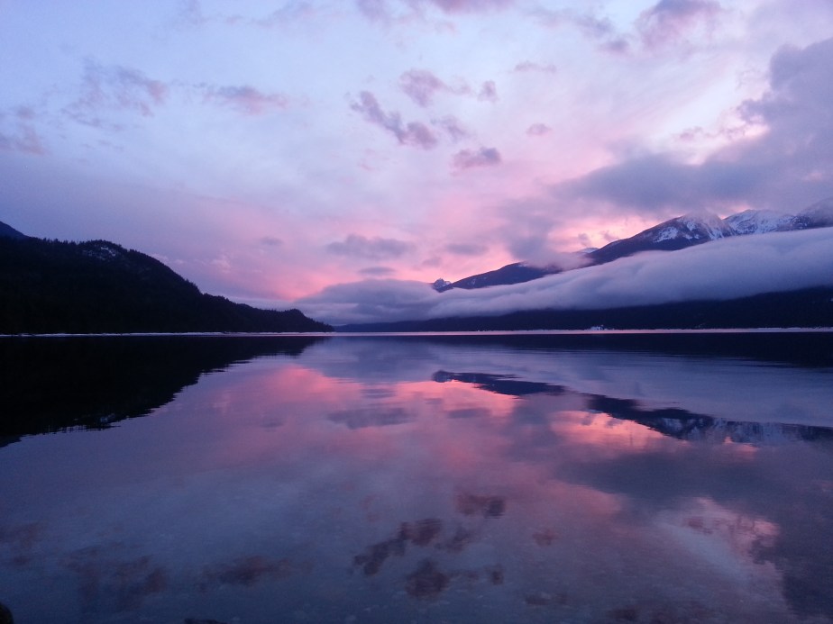 How Do You Show Up……